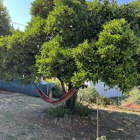 Viva Countryside House