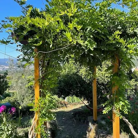 Casa vacanze Viva Countryside House *
