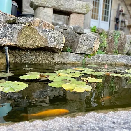 Viva Countryside House *