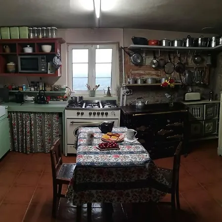 Vakantiehuis Viva Countryside House