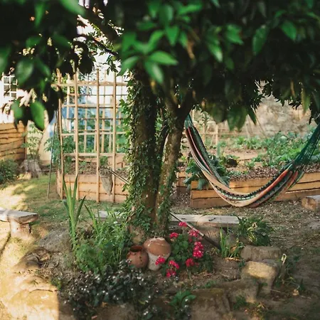 Vakantiehuis Viva Countryside House *