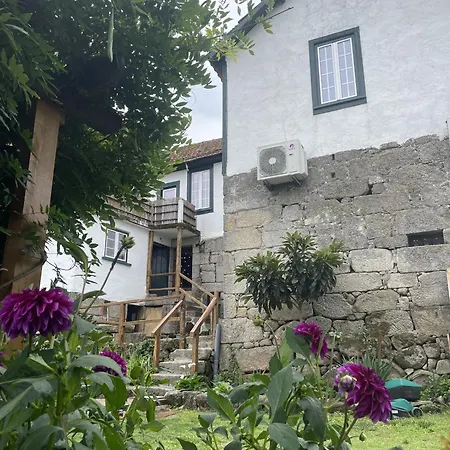 Viva Countryside House