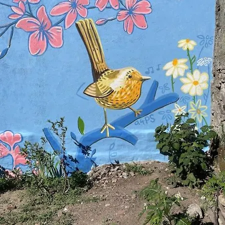 Viva Countryside House *