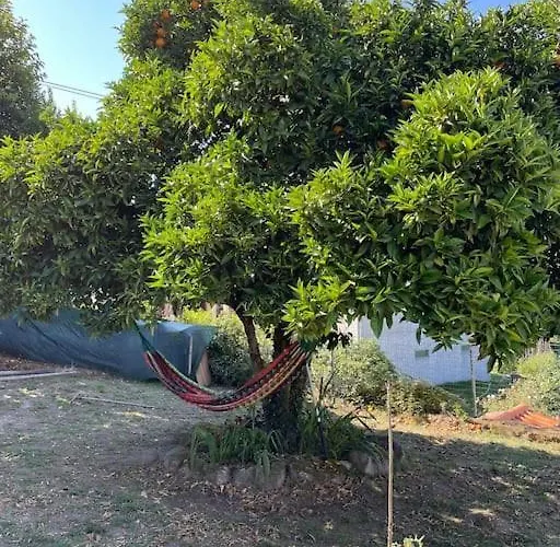 Viva Countryside House