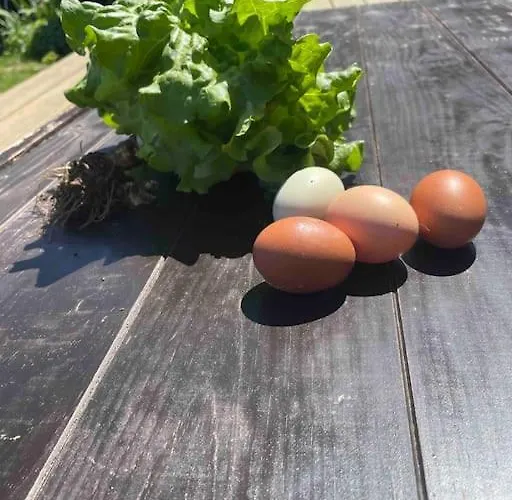 Viva Countryside House * Fatauncos