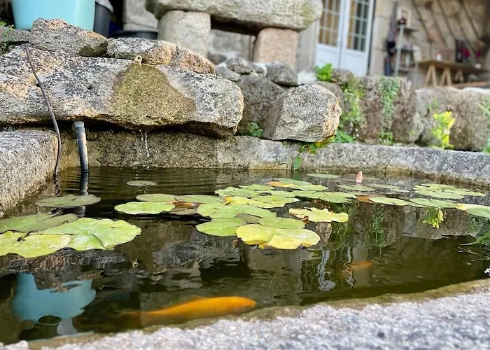 Viva Countryside House *