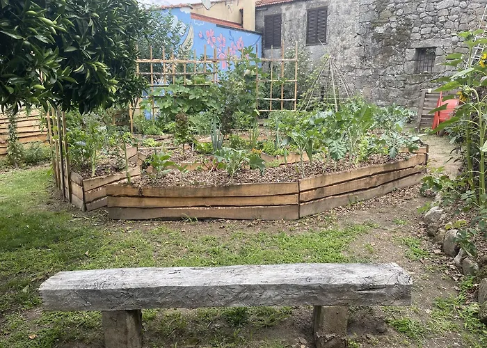 Viva Countryside House